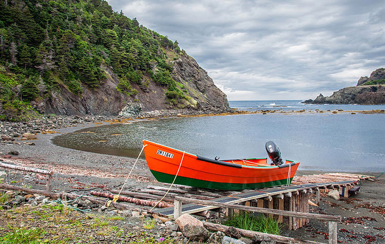 Boat Tours